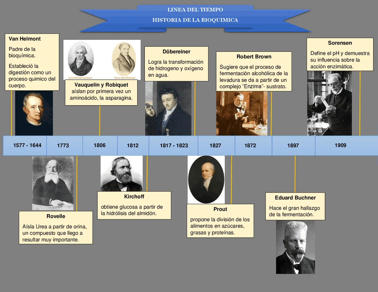 bioquimica hechos historicos - Cómo ha evolucionado la bioquímica