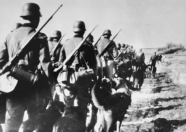 desarrollo comunitario hechos historicos - Cómo nace el proyecto comunitario