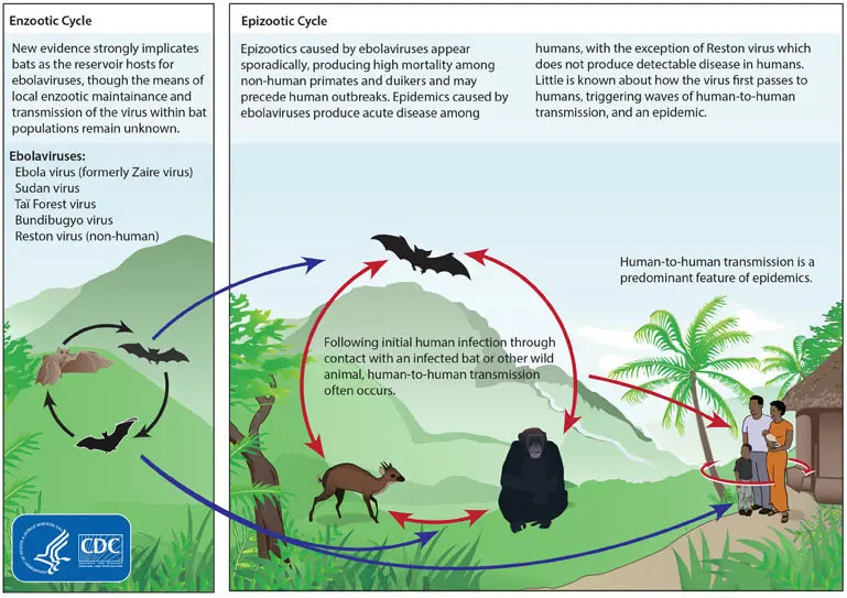 historias de proteccion al medio ambiente en la vida real - Cómo puedo proteger el medio ambiente en mi vida diaria