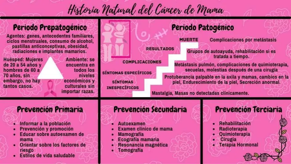 cancer de mama historia real - Cómo se originó el cáncer de mama