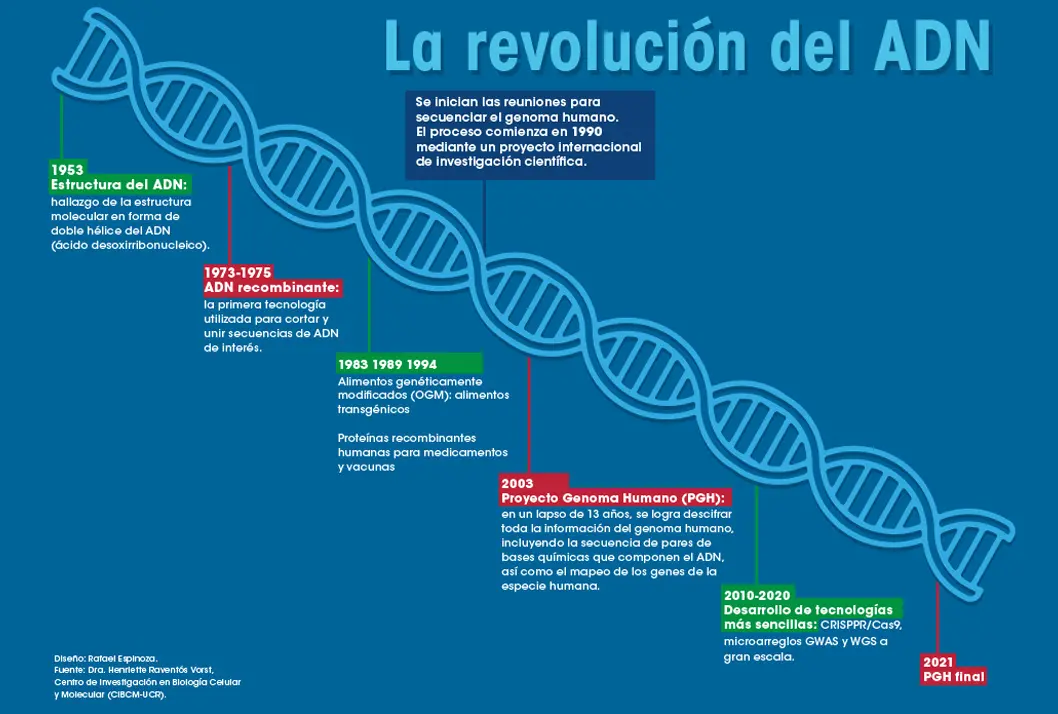 hechos históricos de la genética en la biologia molecular - Cómo se relaciona la genética con la biología molecular