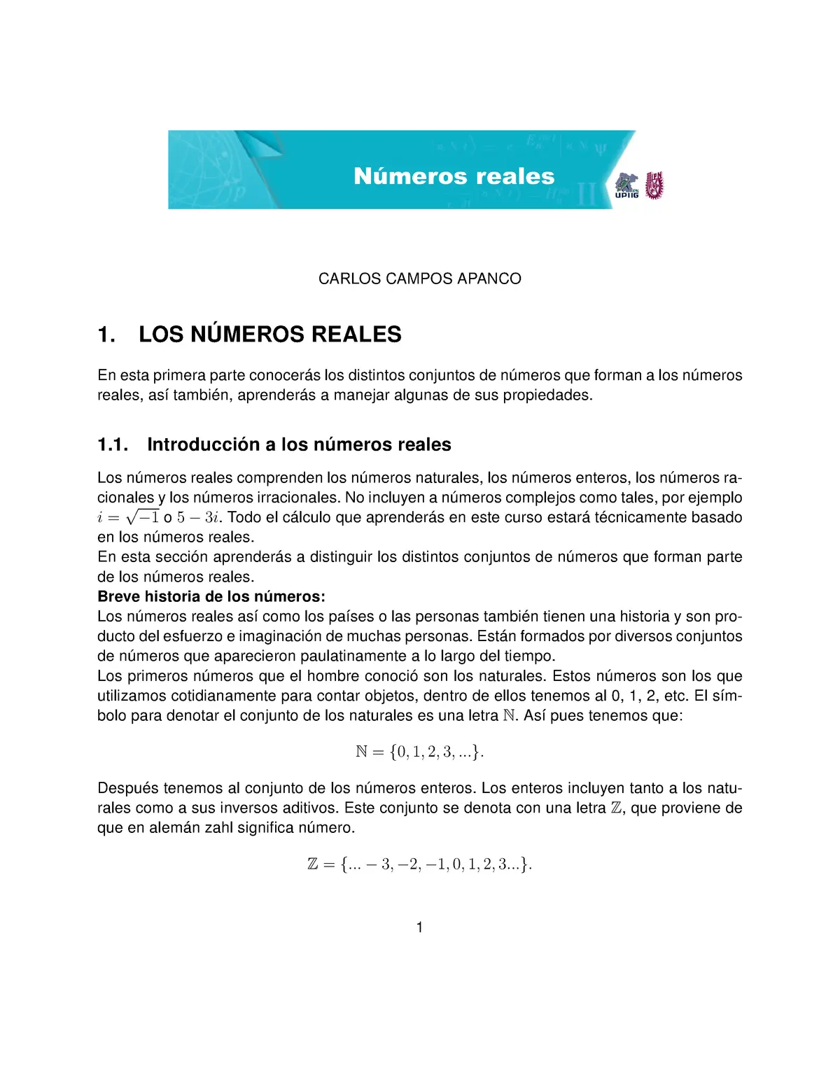 historia de los numeros reales introduccion - Cómo se representaban los números reales en la antigüedad