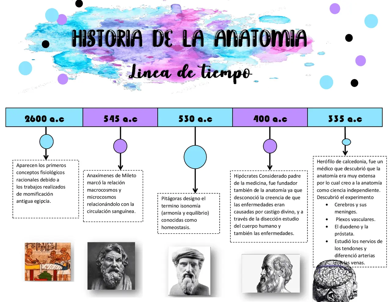 hechos historicos de anatomia - Cuál es la historia de la anatomía