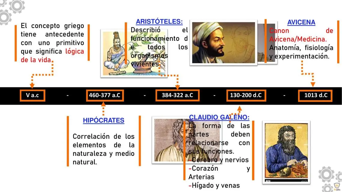 hechos historicos de la fisiologia - Cuál es la historia de la fisiología