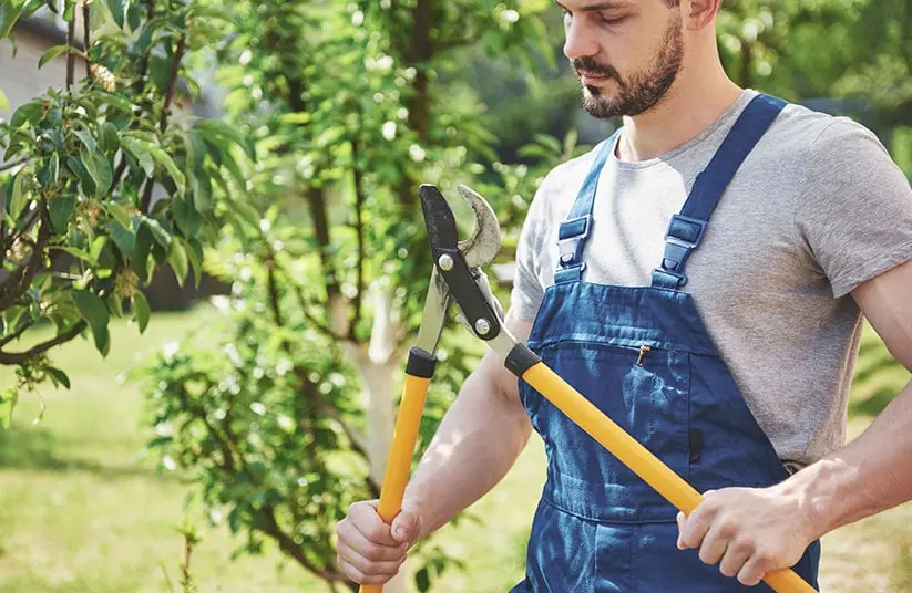 hechos historicos de jardina - Cuál es la historia de los jardines