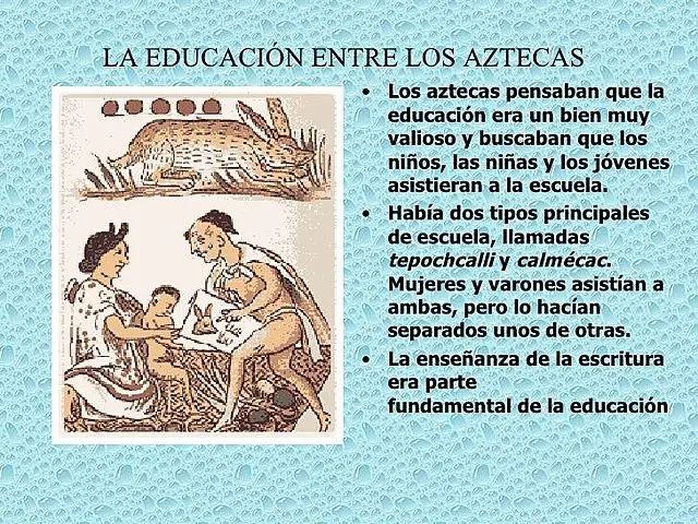 hecho historico importante educacion primaria - Cuál es la importancia de la educación primaria