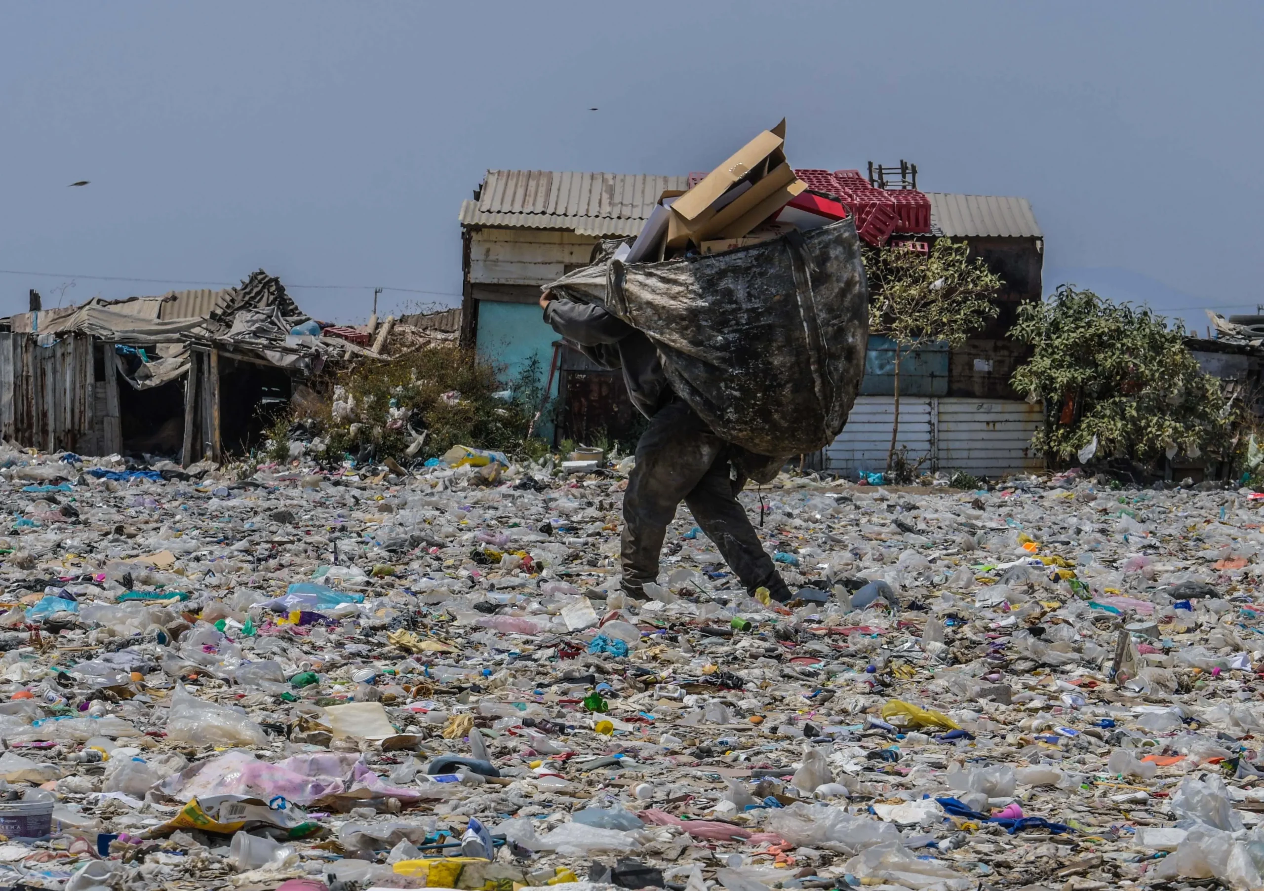 hechos reales de contaminacion ambiental en mexico - Cuál es la situacion actual de la contaminación en México