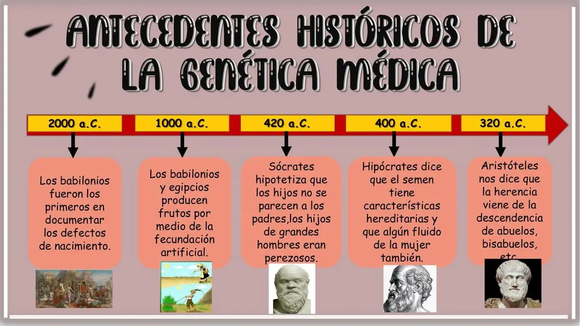 hechos historicos mas relevantes para el estudio de la genetica - Cuáles han sido los principales hitos de la ingeniería genetica en la sociedad