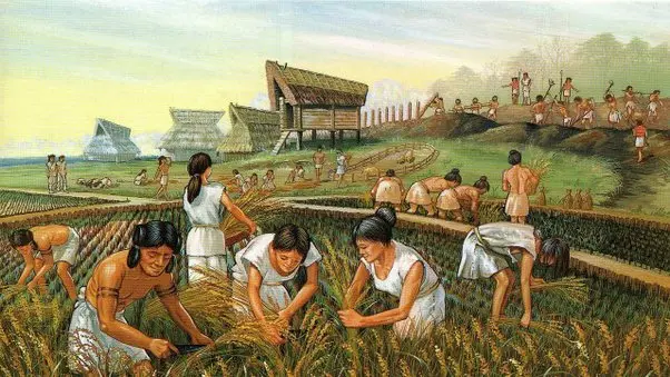 hechos historicos de revolucion agricola y maquinas - Cuáles son las características de la revolución agrícola