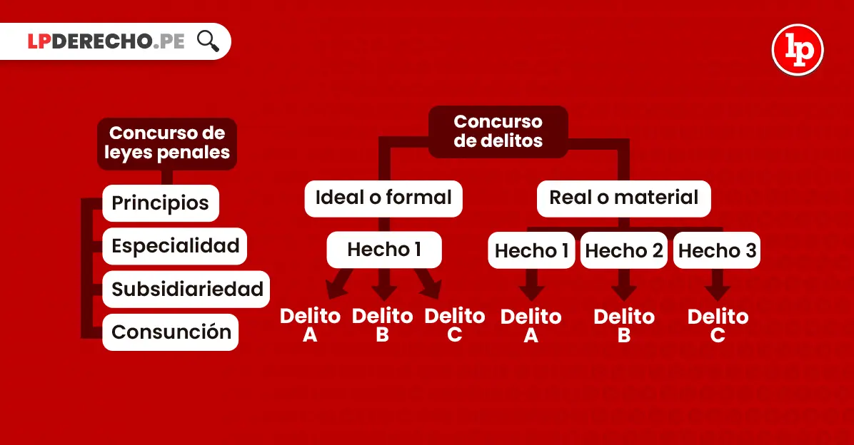 Las leyes: Un pilar fundamental de la sociedad - Cuáles son las leyes causales leyes de hechos reales - Cuáles son las leyes causales