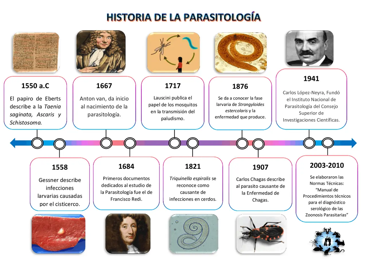 hechos historicos relevantes de la parasitologia - Cuáles son las teorias evolutivas de los parásitos