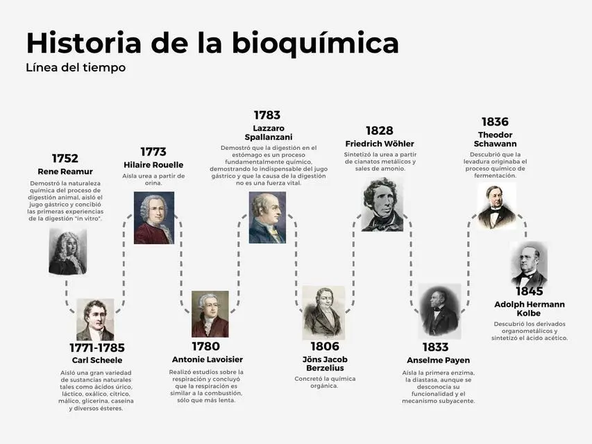 bioquimica hechos historicos - Cuáles son los avances de la bioquímica