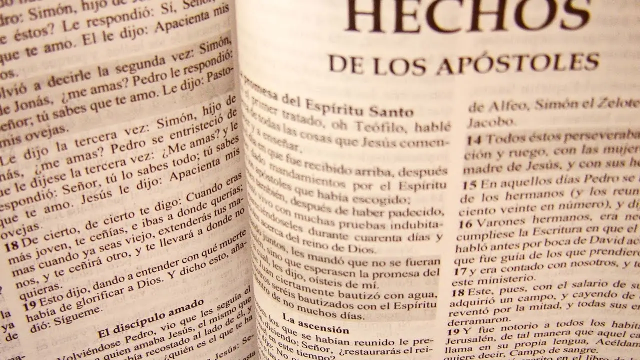 hechos de los apostoles es considerado un libro historico - Cuáles son los libros históricos del Nuevo Testamento