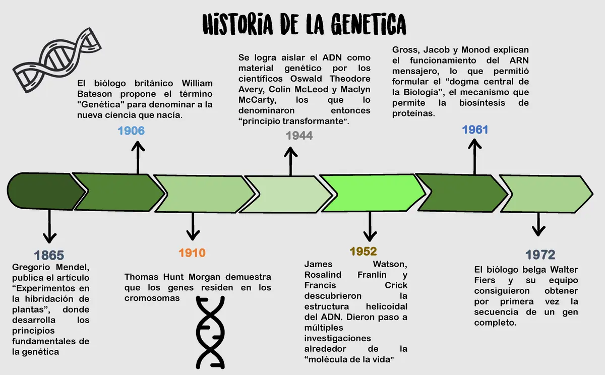 hechos historicos de la manipulacion genetica - Cuándo surge la manipulación genética