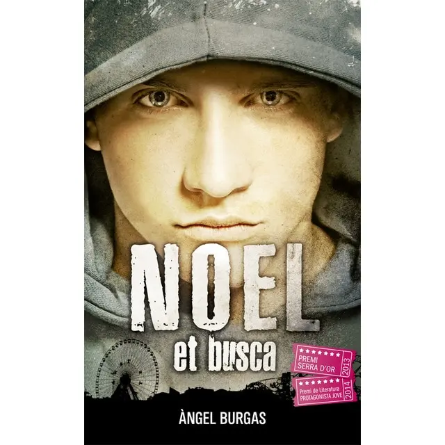 historia real del llibre noel et busca - Cuántas páginas tiene el libro Noel te busca