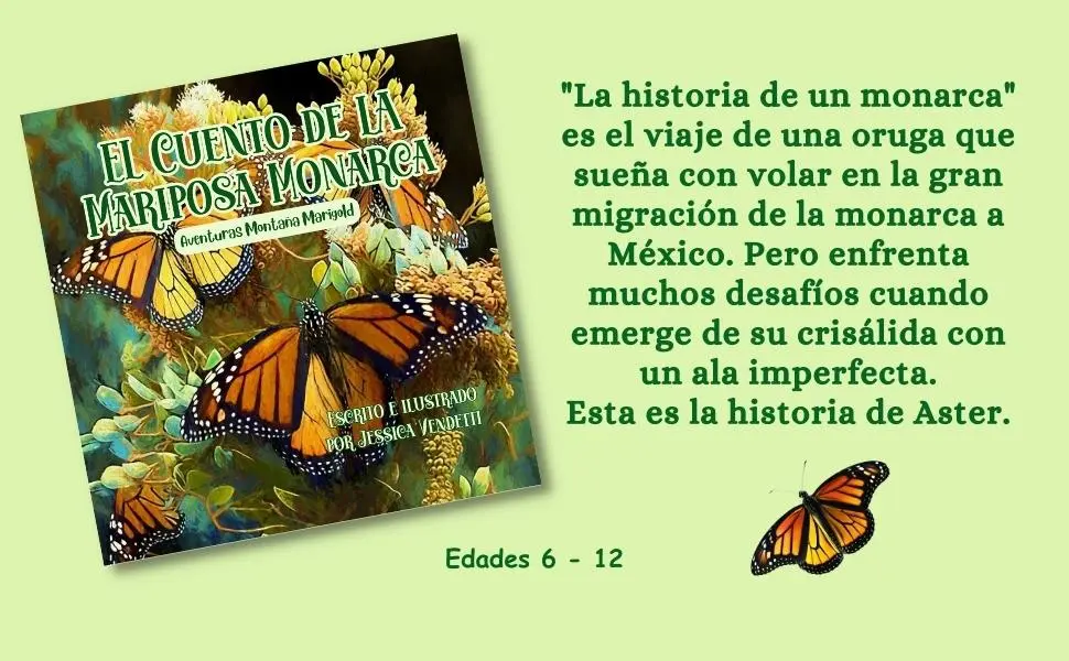 la mariposa novela historia real - Cuántos episodios tiene la mariposa