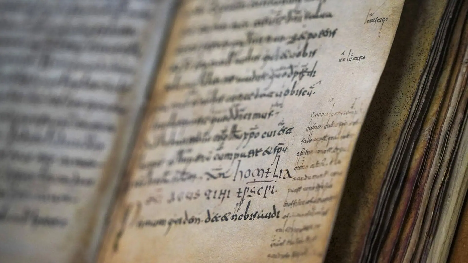 La Biblioteca de la Real Academia de la Historia: Un Tesoro de la Lengua Española - Dónde se encontraron las glosas biblioteca de la real academia de la historia glosas emilianenses - Dónde se encontraron las glosas