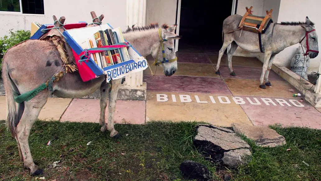 biblioburro una historia real de colombia - Hace cuánto que Luis inició este proyecto del biblioburro