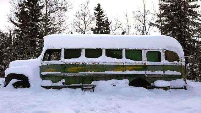 noticias into the wild historia real - Into the Wild está basado en una historia real