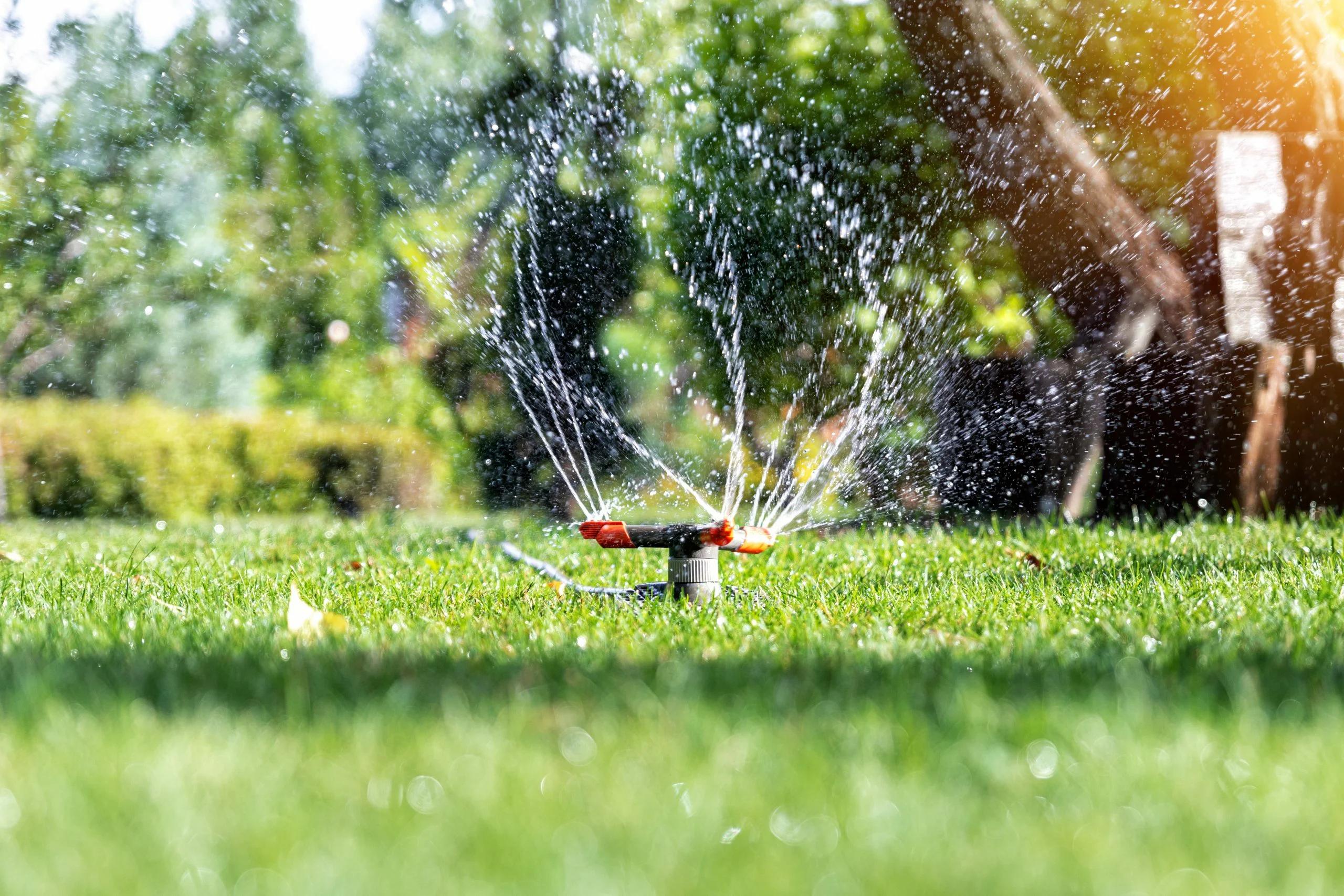 Los Jardines: Un Reflejo de la Historia - Por qué son importantes los jardines porque los jardines representas hechos históricos - Por qué son importantes los jardines