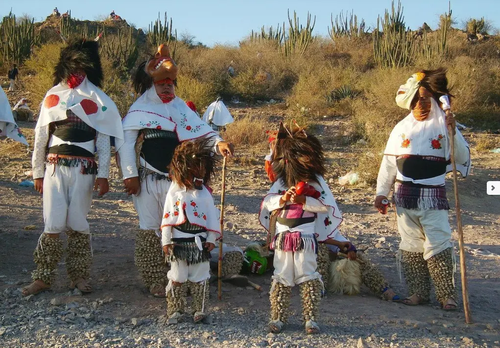 hechos historicos de mayos de sonora - Qué actividades hacen los mayos