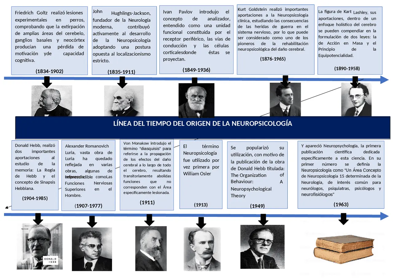 hechos historicos actuales de la neuropsicologia - Qué aporta la neuropsicología a la sociedad actual