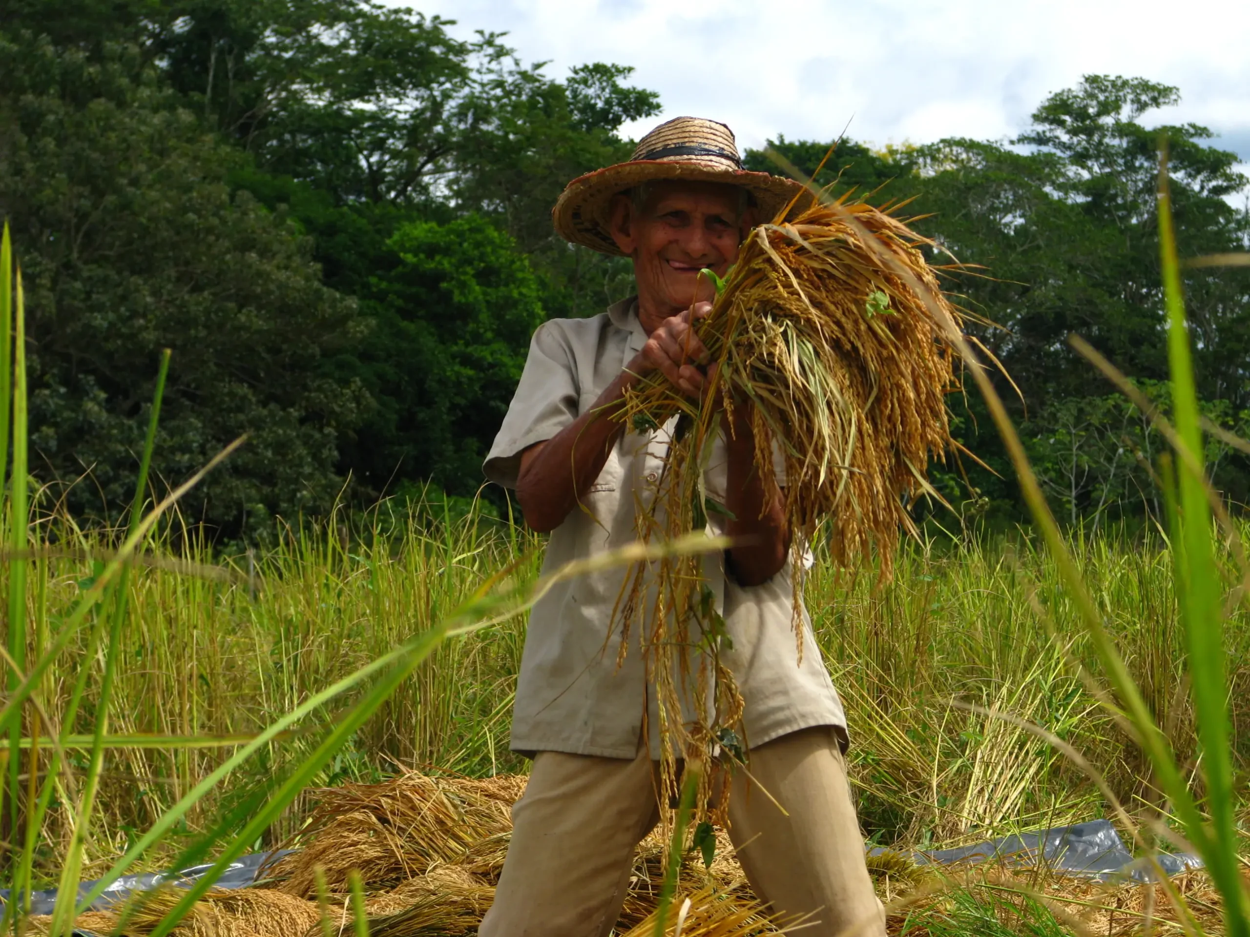 hechos historicos del sector campesino en colombia - Qué caracteriza a los campesinos colombianos