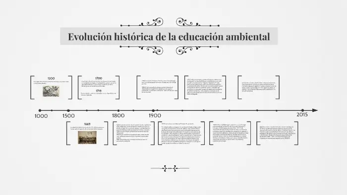 hechos historicos de evolucion ambiental - Qué efecto tuvo la evolución humana sobre el medio ambiente