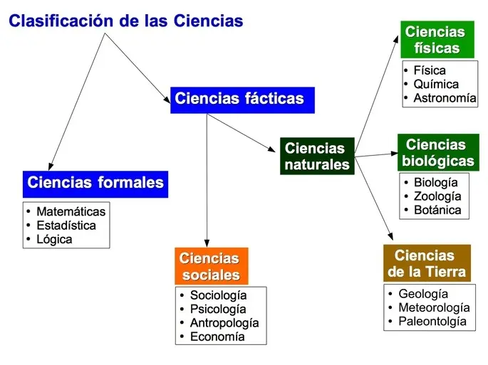 historias fácticas reales - Qué es la fácticas ejemplos