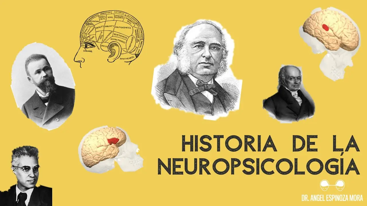 hechos historicos actuales de la neuropsicologia - Qué es la neuropsicología moderna