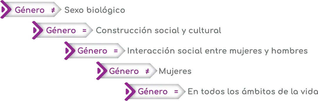 hechos y detalles históricos más relevantes en términos de género - Qué es lo más importante del género