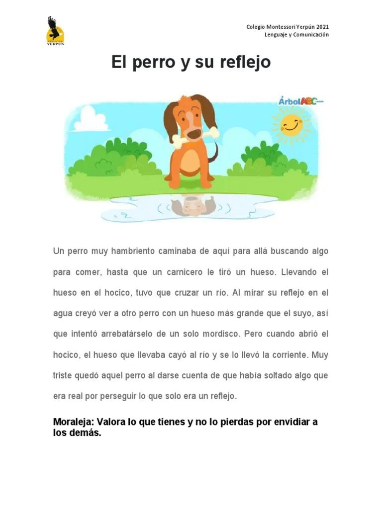 El Encanto de las Fábulas: Historias Reales con Personajes Imaginarios - Qué fábulas tiene Esopo fabulas con hechos reales y personificacidas - Qué fábulas tiene Esopo