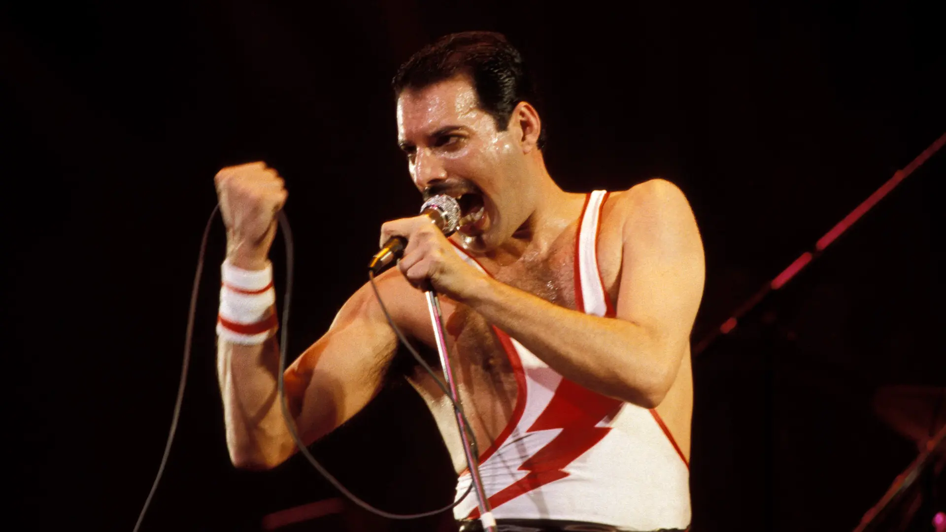 historia real de la muerte de fredy mercuri - Qué fue lo que dijo Freddie Mercury antes de morir