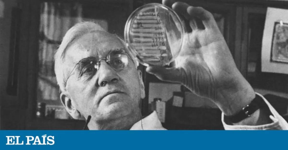 hechos historicos de alexander fleming - Qué fue lo que Fleming no pudo conseguir