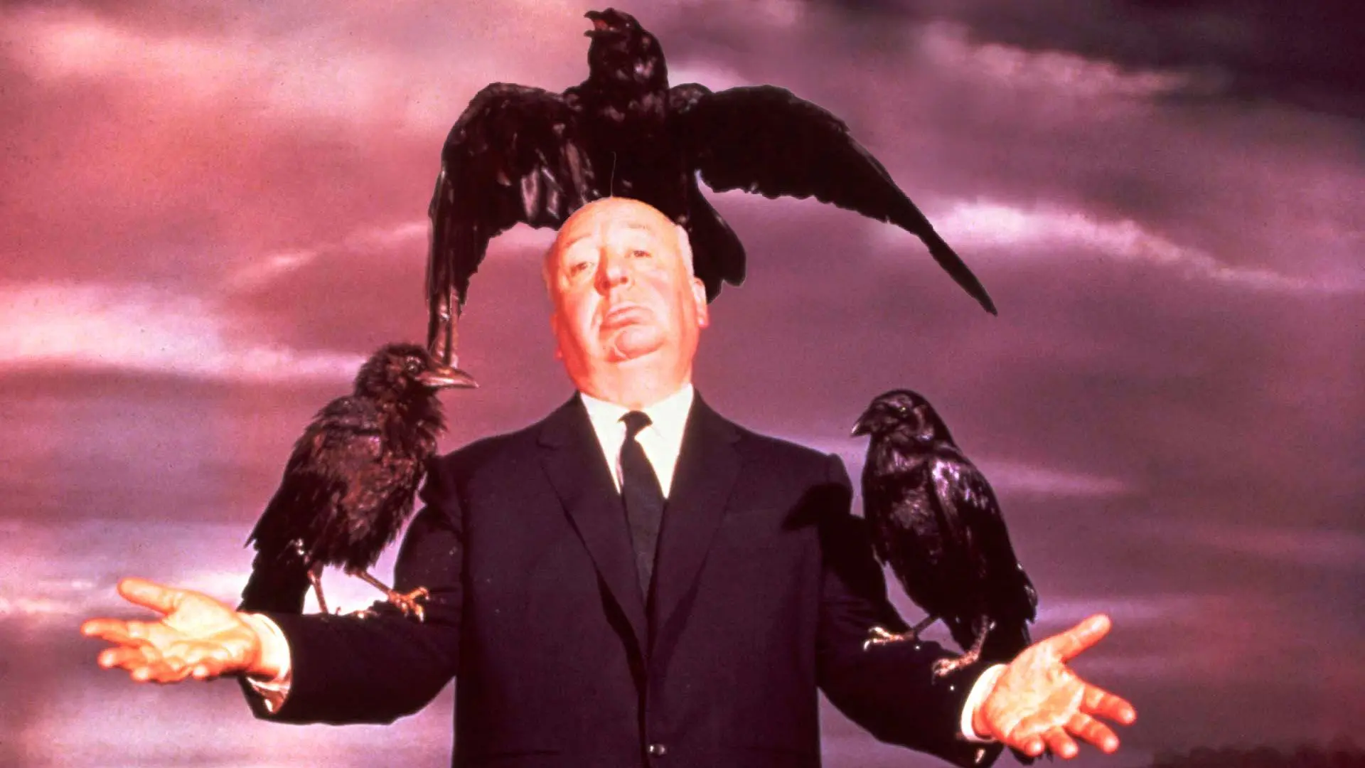 los pajaros historia real - Qué pájaros salen en la película Los pájaros