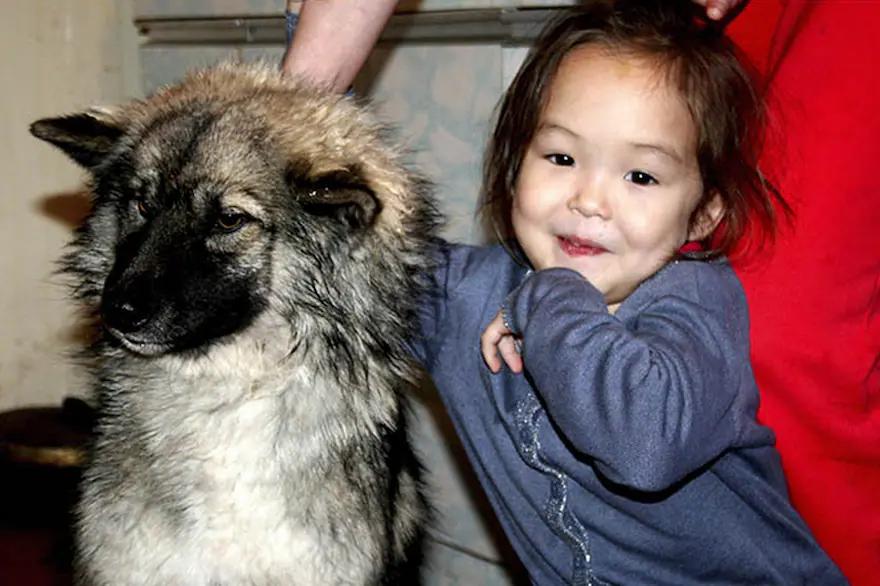las niñas lobo historia real - Qué pasó con Amala y Kamala