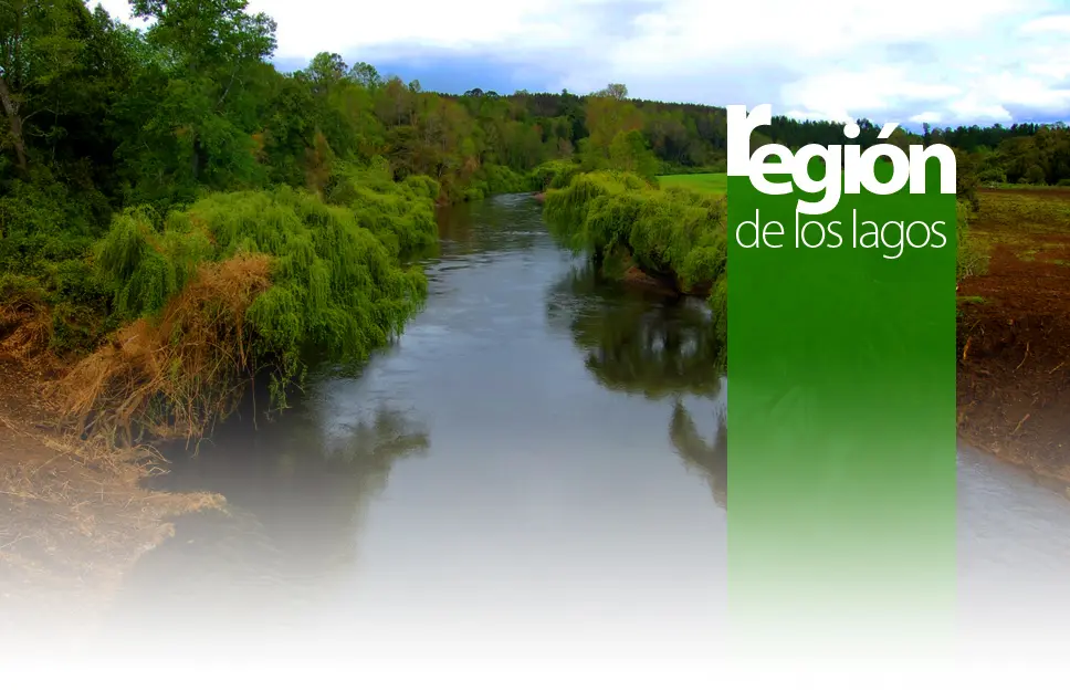 hechos historicos de la region de los lagos - Qué produce la Región de Los Lagos