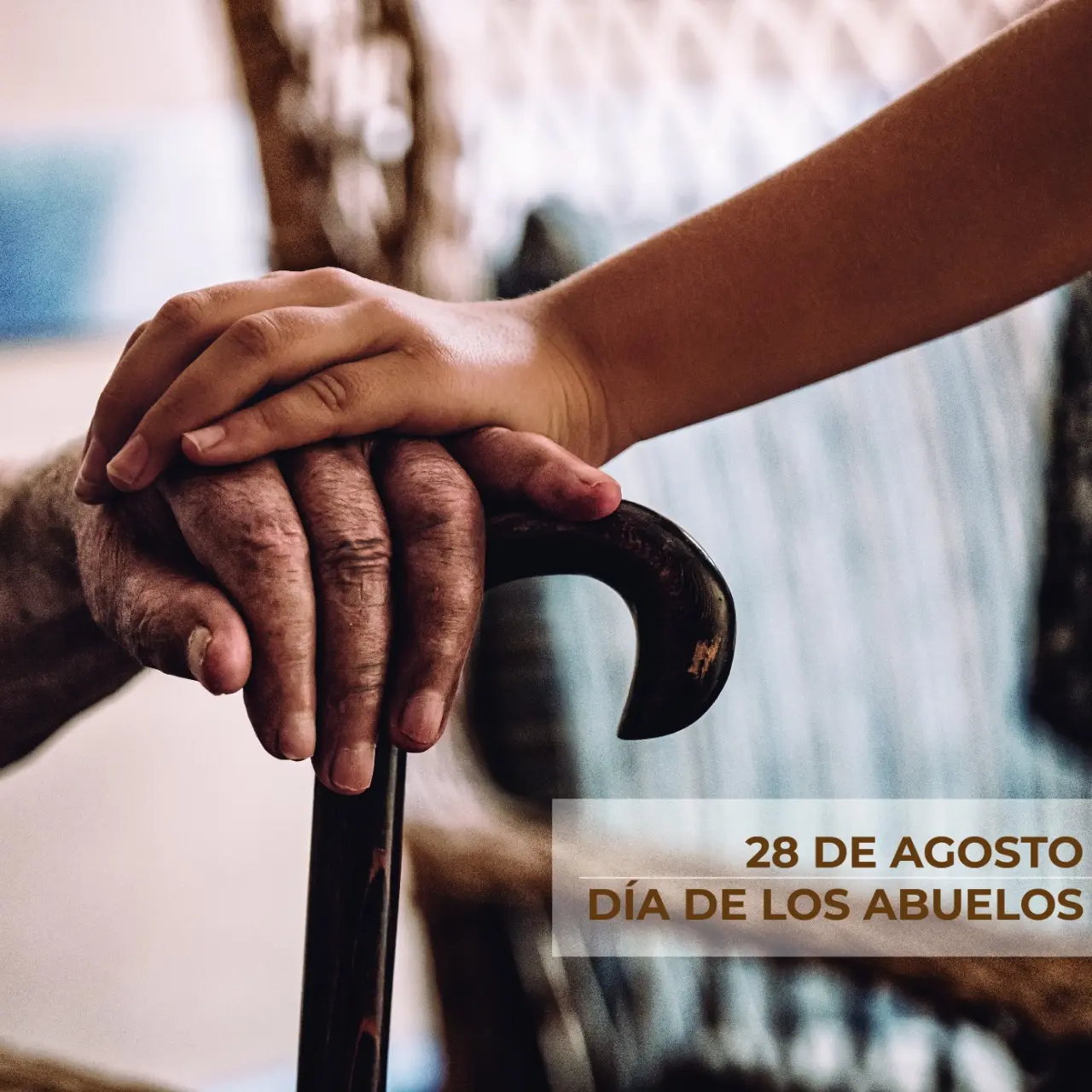 Imágenes con los Hechos Históricos del Mes de Agosto - Qué se celebra el 17 de agosto imagenes con los hechos historicos del mes de agosto - Qué se celebra el 17 de agosto