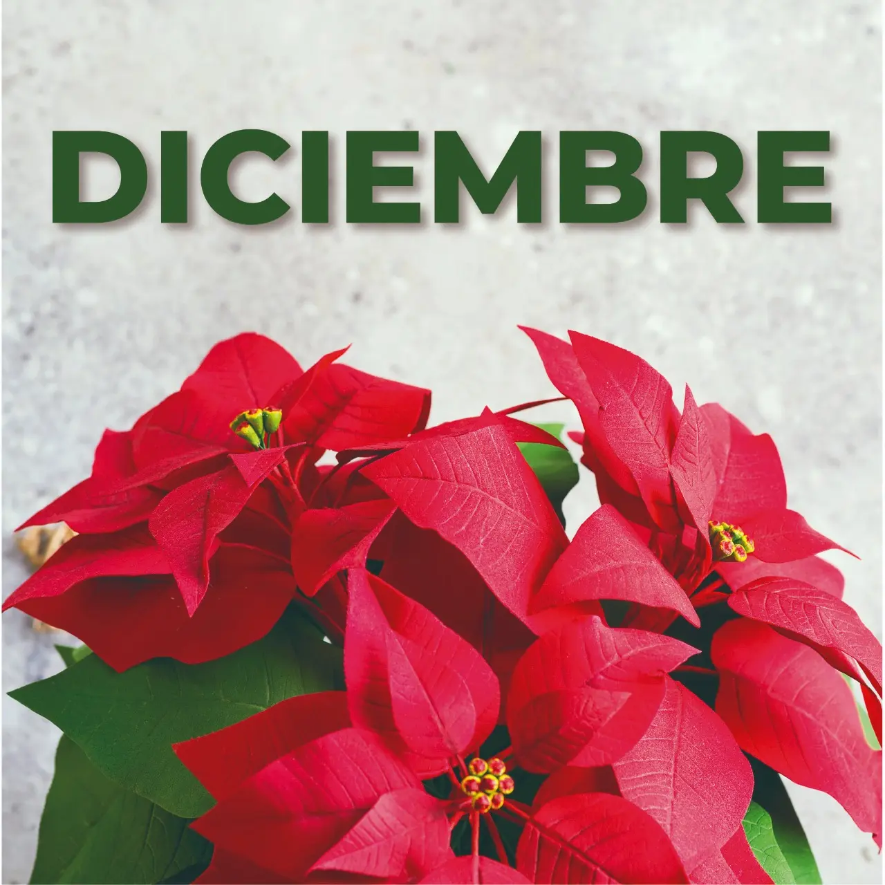 hechos historicos de mexico mes de diciembre - Qué se celebra el 19 de diciembre en México