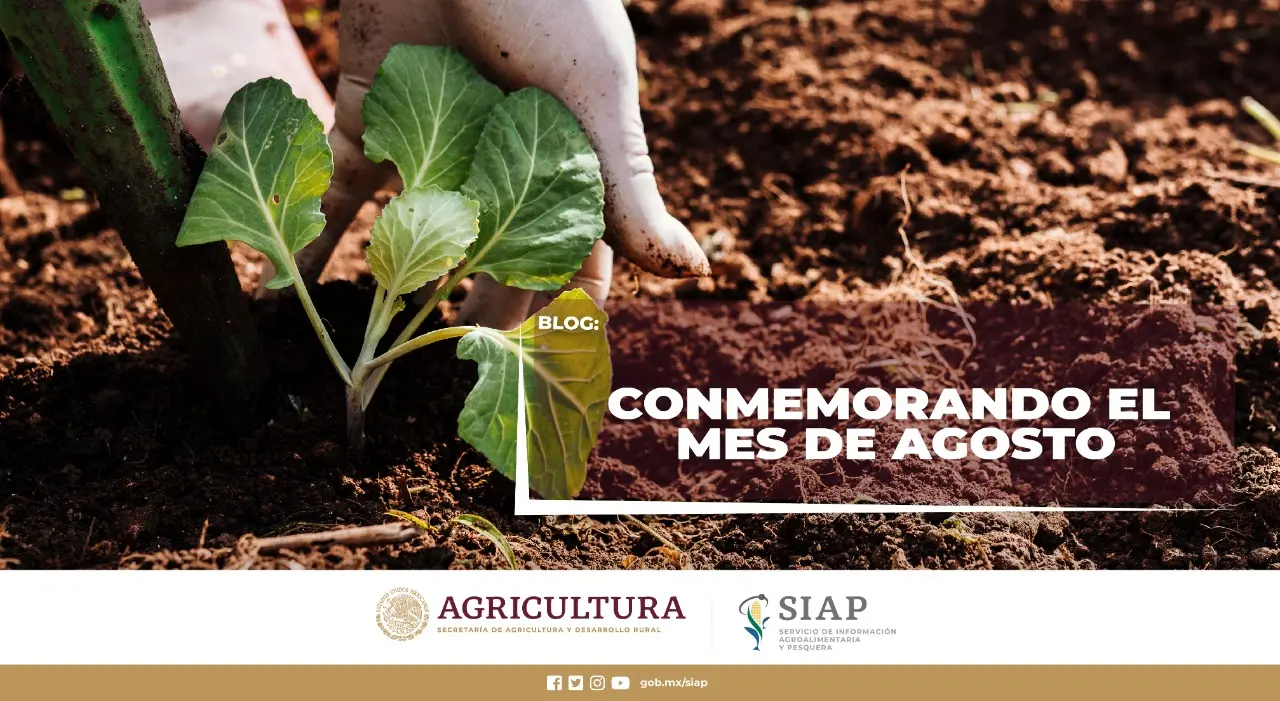 Imágenes con los Hechos Históricos del Mes de Agosto - Qué se celebra el 8 de agosto en Argentina imagenes con los hechos historicos del mes de agosto - Qué se celebra el 8 de agosto en Argentina