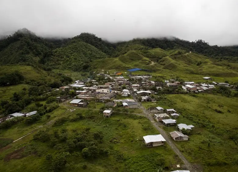 historias reales de las comunidades indigenas del municipio de frontino - Que se cultiva en Frontino