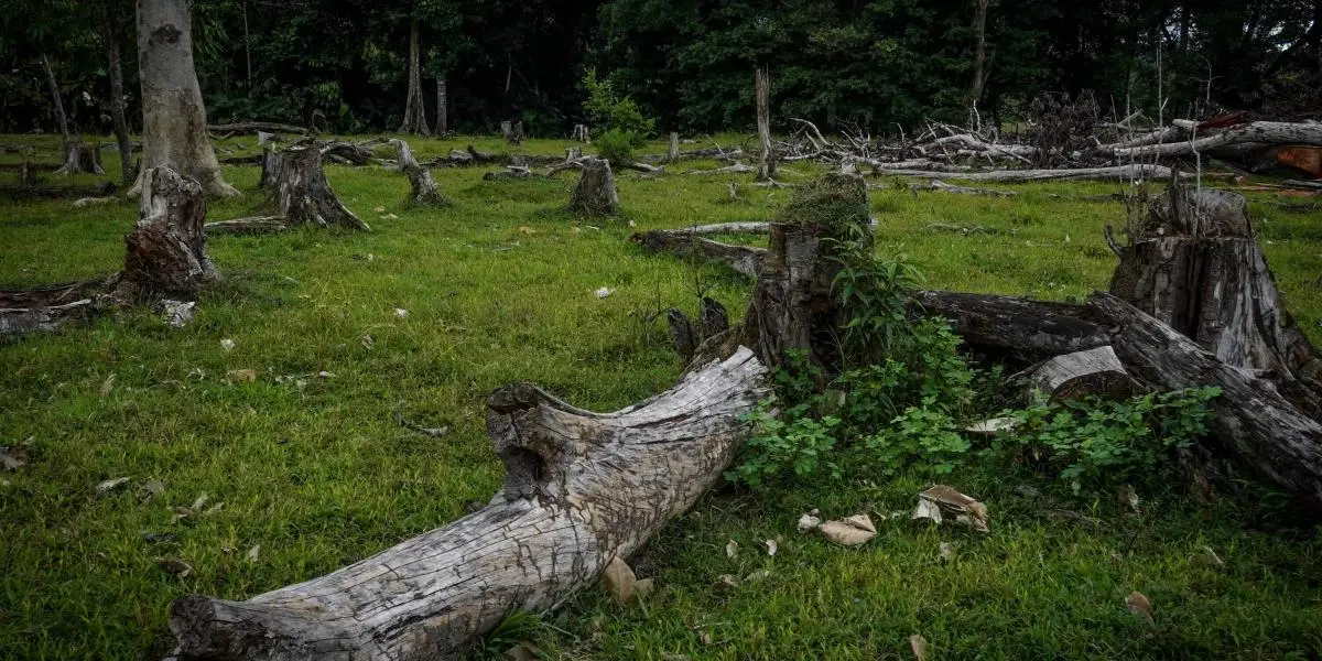 hechos históricos medio ambiental colombia - Que se está haciendo en Colombia para el cuidado del medio ambiente