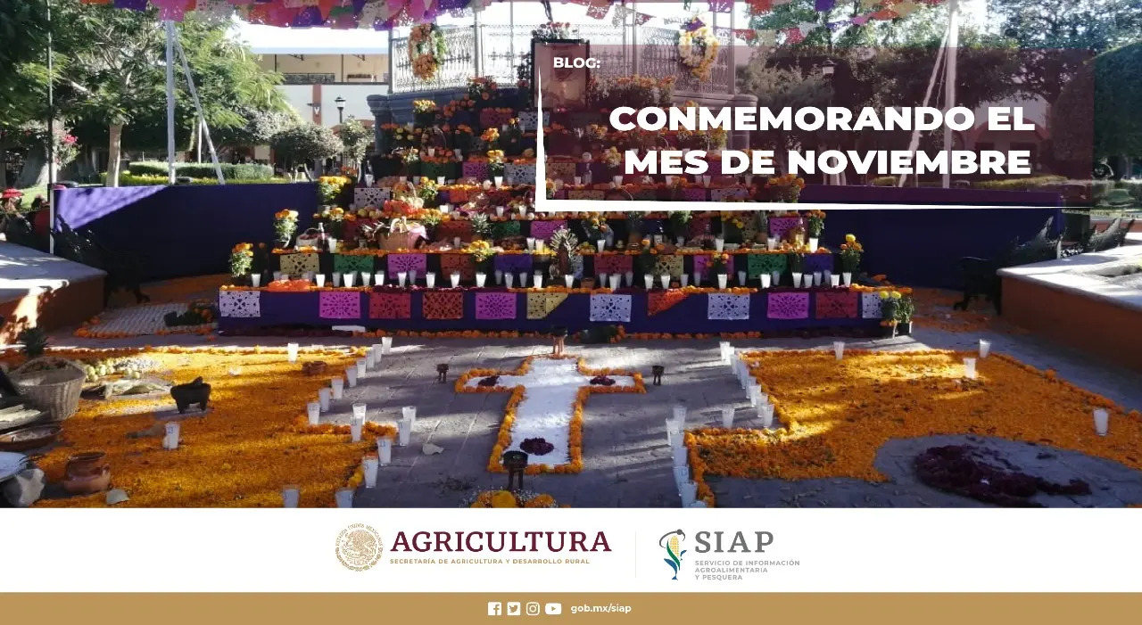 hecho historico del mes de noviembre en mexico - Que se festeja el 6 de noviembre en México