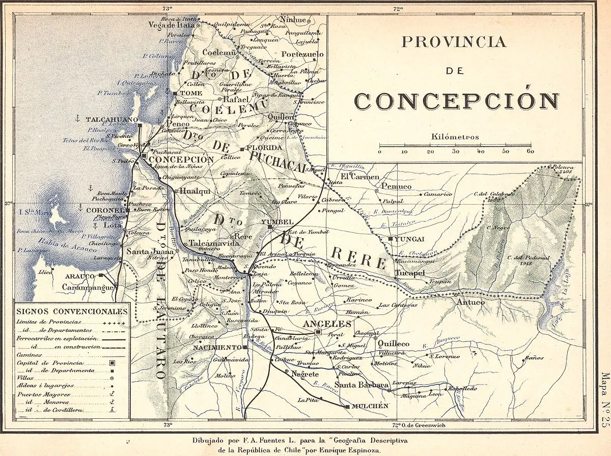 hechos historicos de la ix region - Qué se produce en la Región de La Araucanía