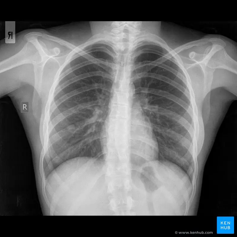 radiografia reales y historia clinica - Que se registra en la historia clínica