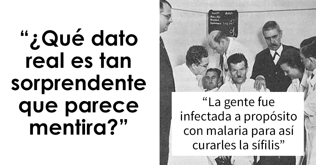 historias reales que parecen mentira - Qué significa Parece mentira pero es anécdota