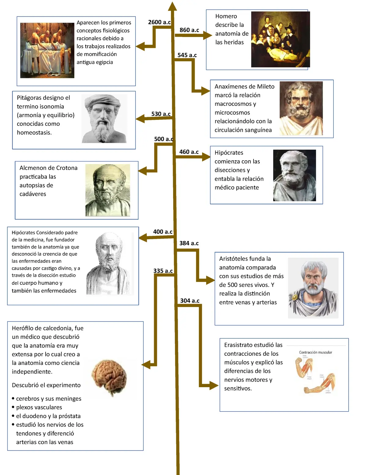 historia de la anatomia patologica hechos historicos - Quién es el padre de la patología antigua