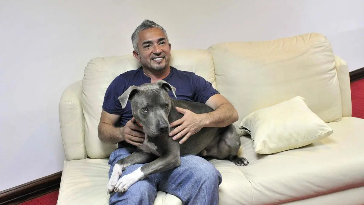 cesar millan historia real - Quién fue César Millán