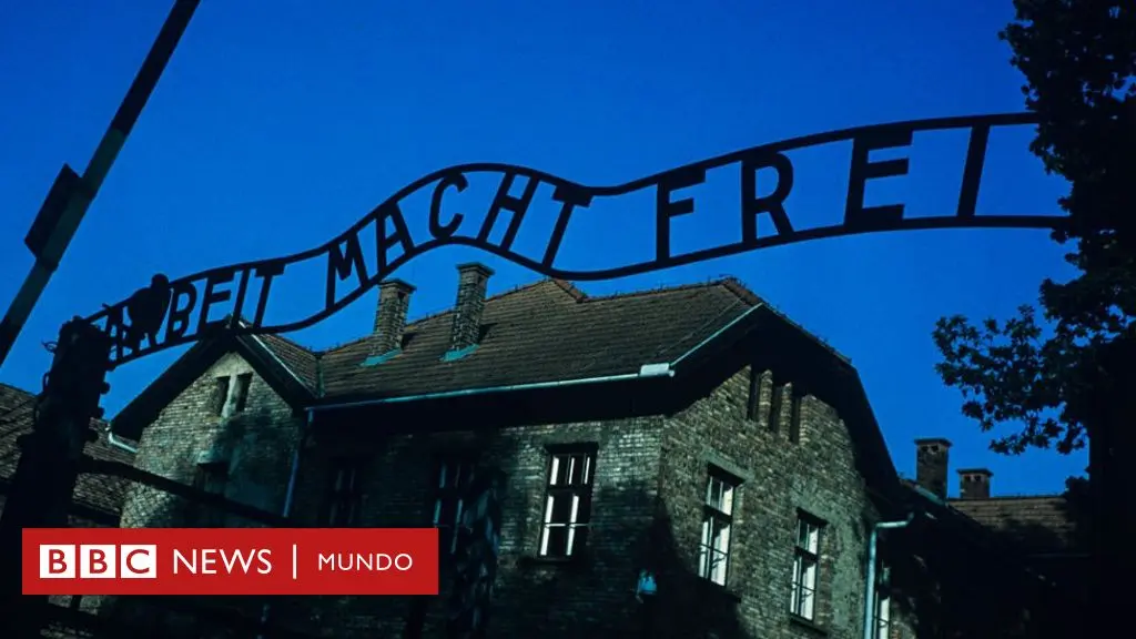 Auschwitz: Historias Reales de Escape y Resistencia - Quién logro escapar de Auschwitz auschwitz historias reales - Quién logro escapar de Auschwitz